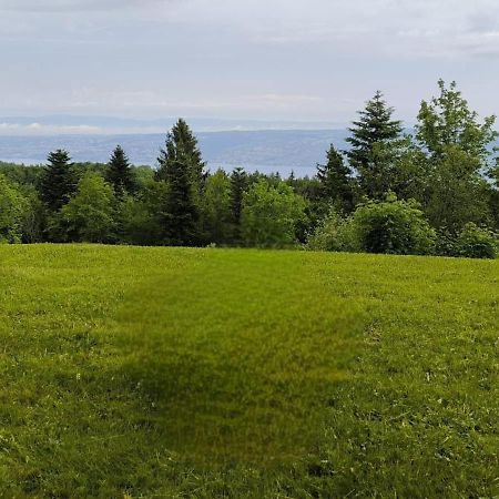 Apartament Le Panoramic Thollon-les-Memises Zewnętrze zdjęcie
