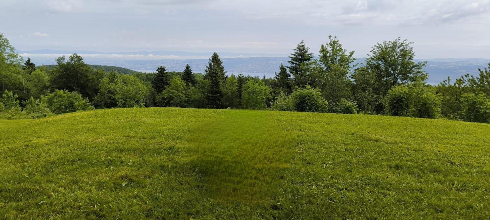Apartament Le Panoramic Thollon-les-Memises Zewnętrze zdjęcie